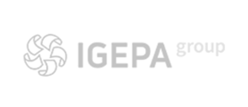 Igepa Group